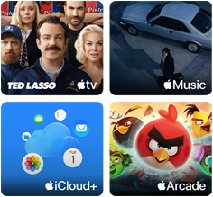 Apple One Kacheln: Apple TV, Apple Music, iCloud+ und Apple Arcade