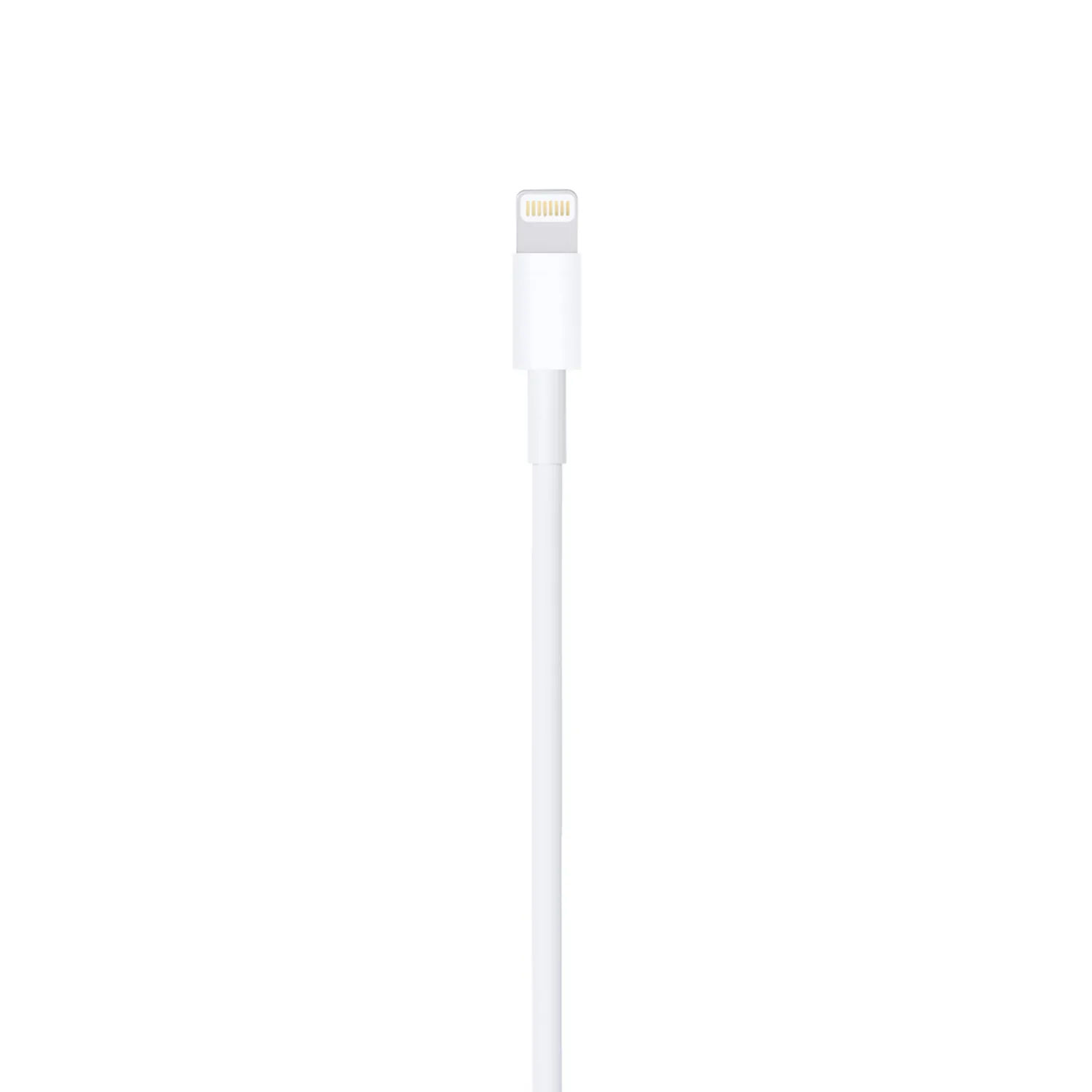 Apple Lightning auf USB Cable (1m)