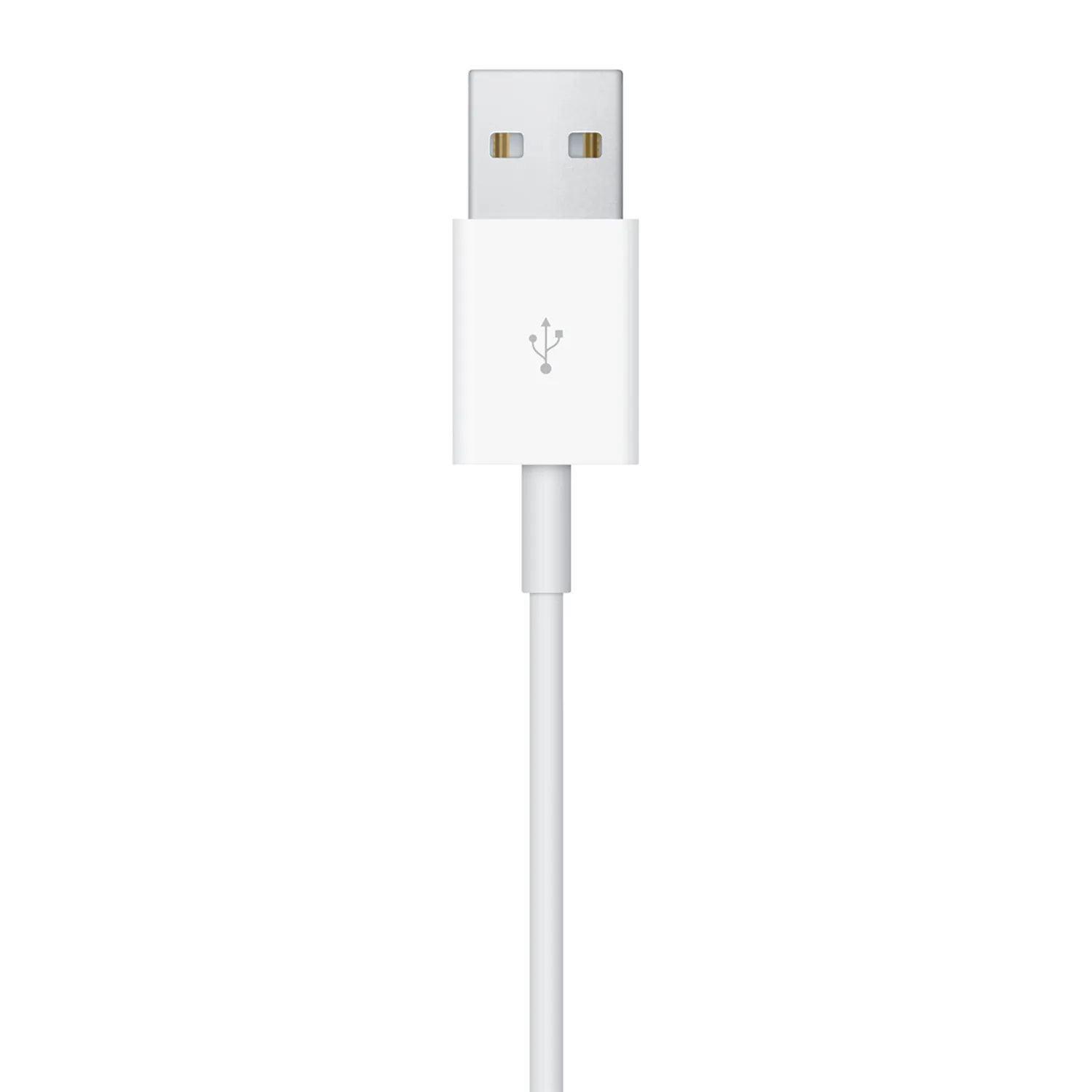 Apple magnetisches Ladegerät auf USB Kabel für Watch (1 m) - 2025