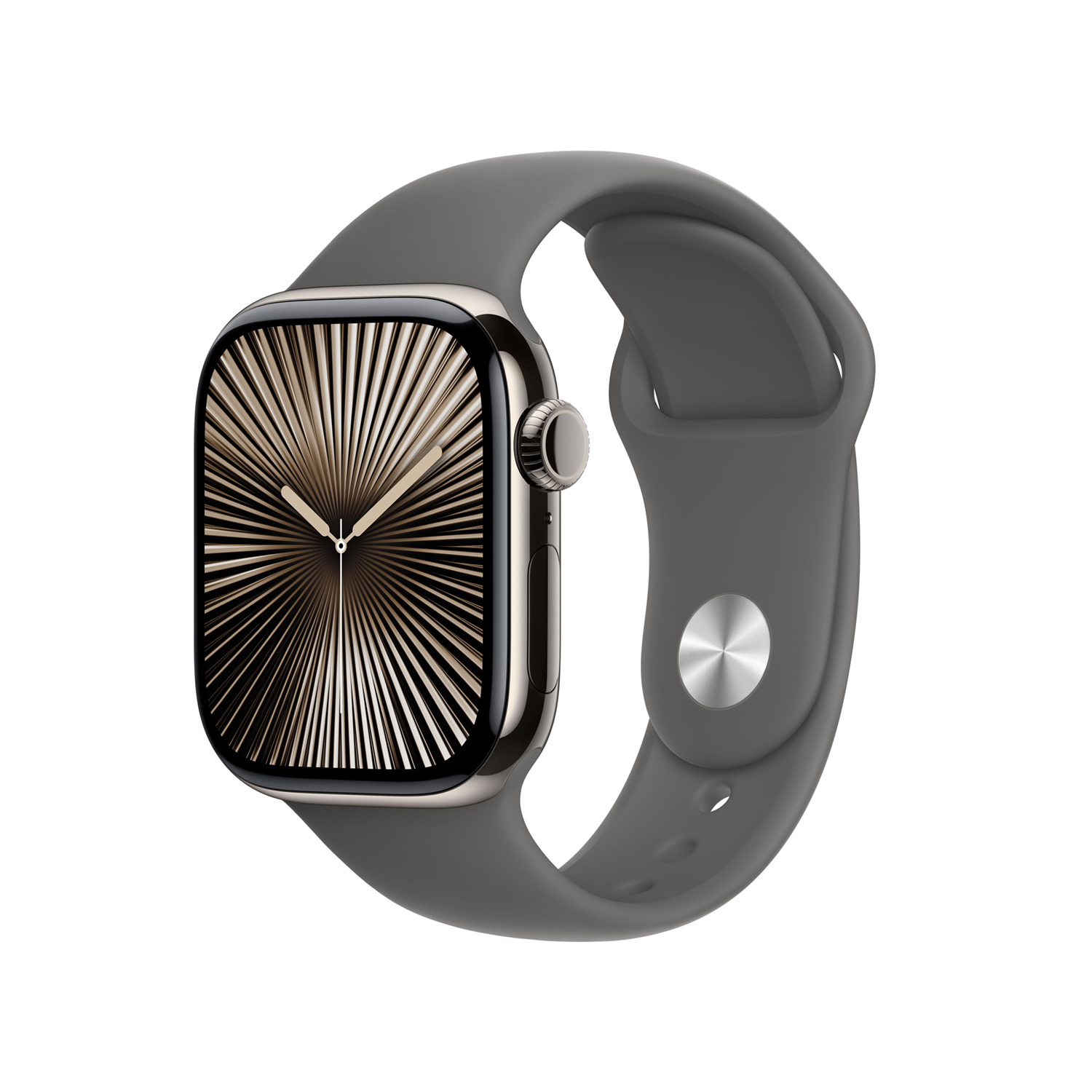 Apple Watch S10 Titan Natur Cellular 42mm (Sportarmband steingrau) S/M