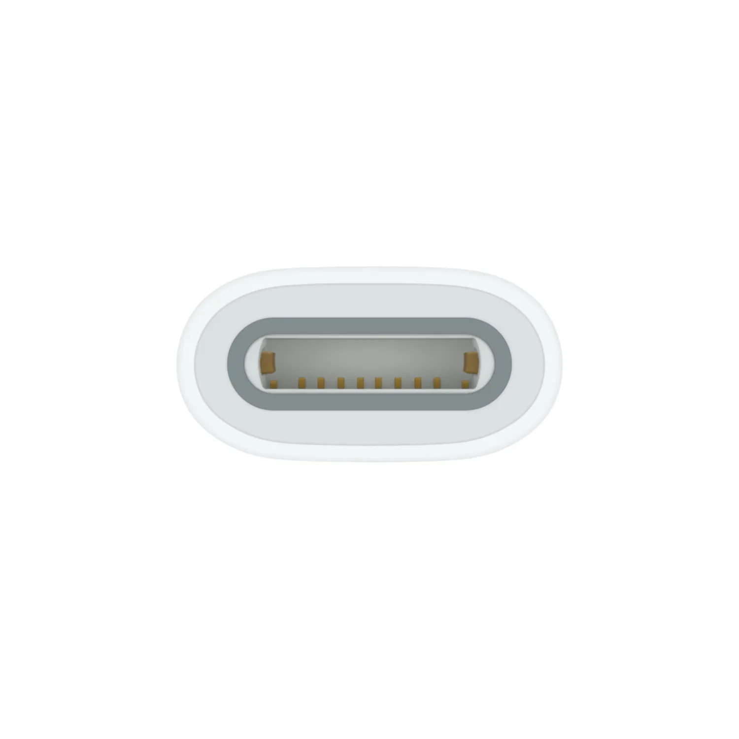 Apple USB-C auf Apple Pencil Adapter