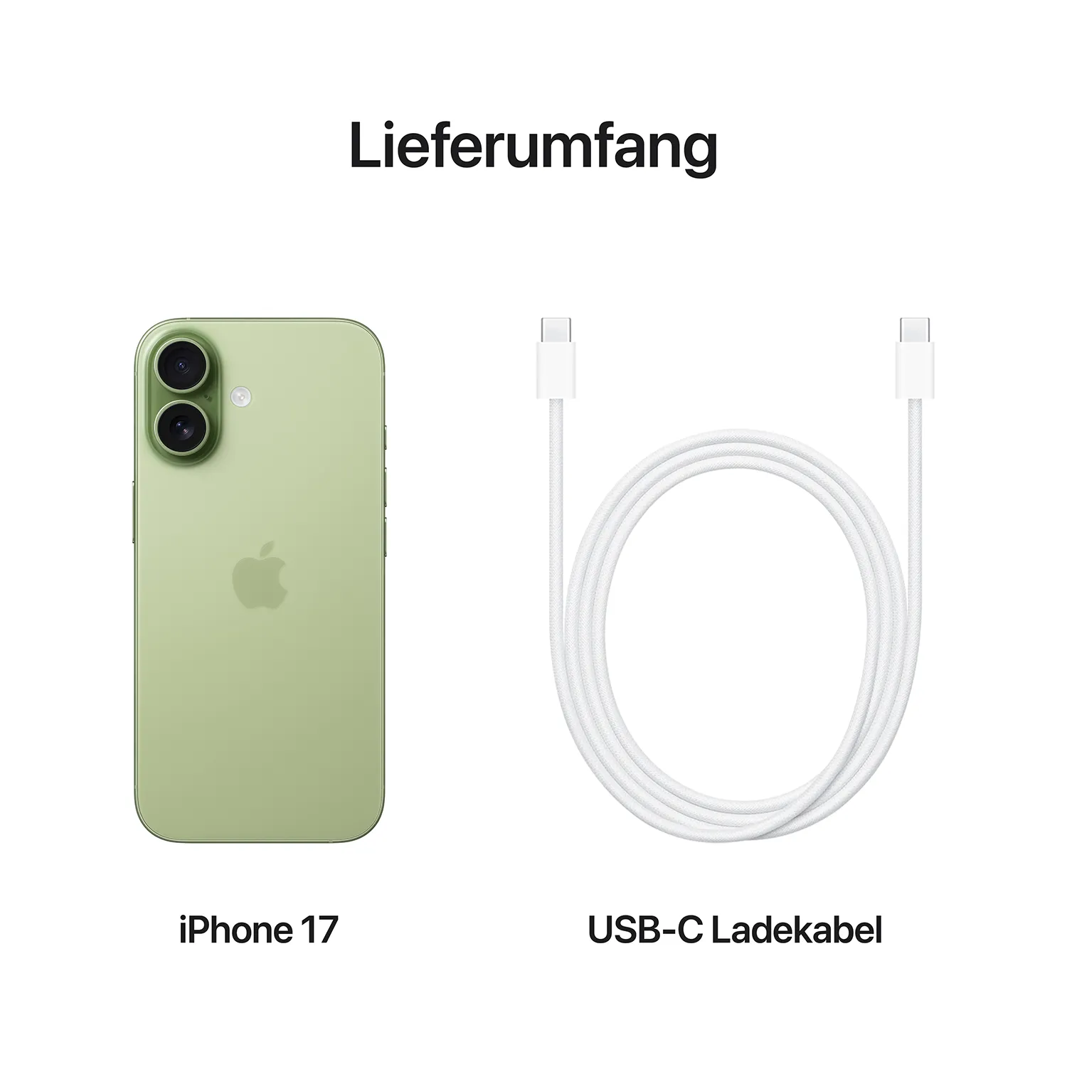 iPhone 17 256GB Salbei