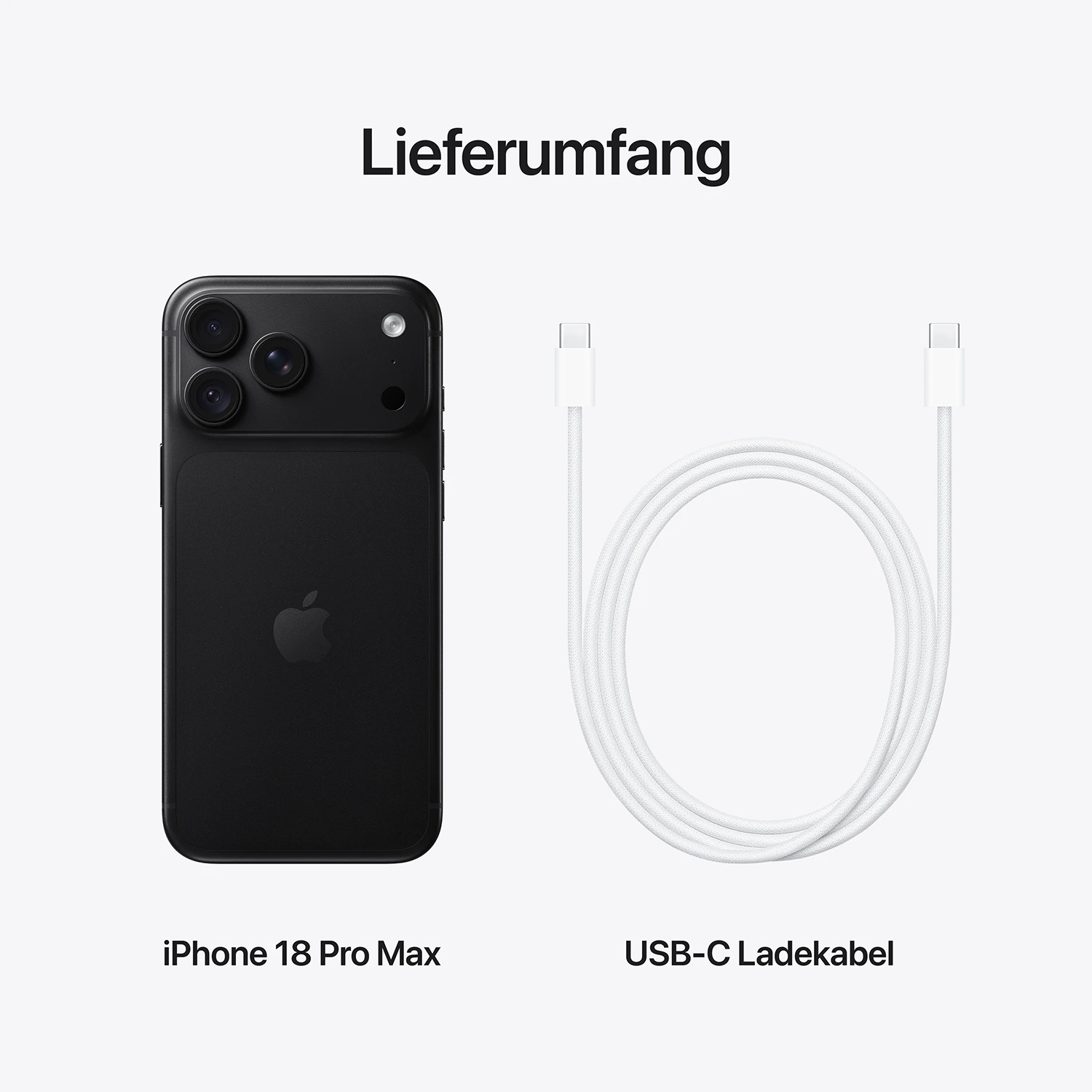 iPhone 18 Pro Max 256 GB Schwarz