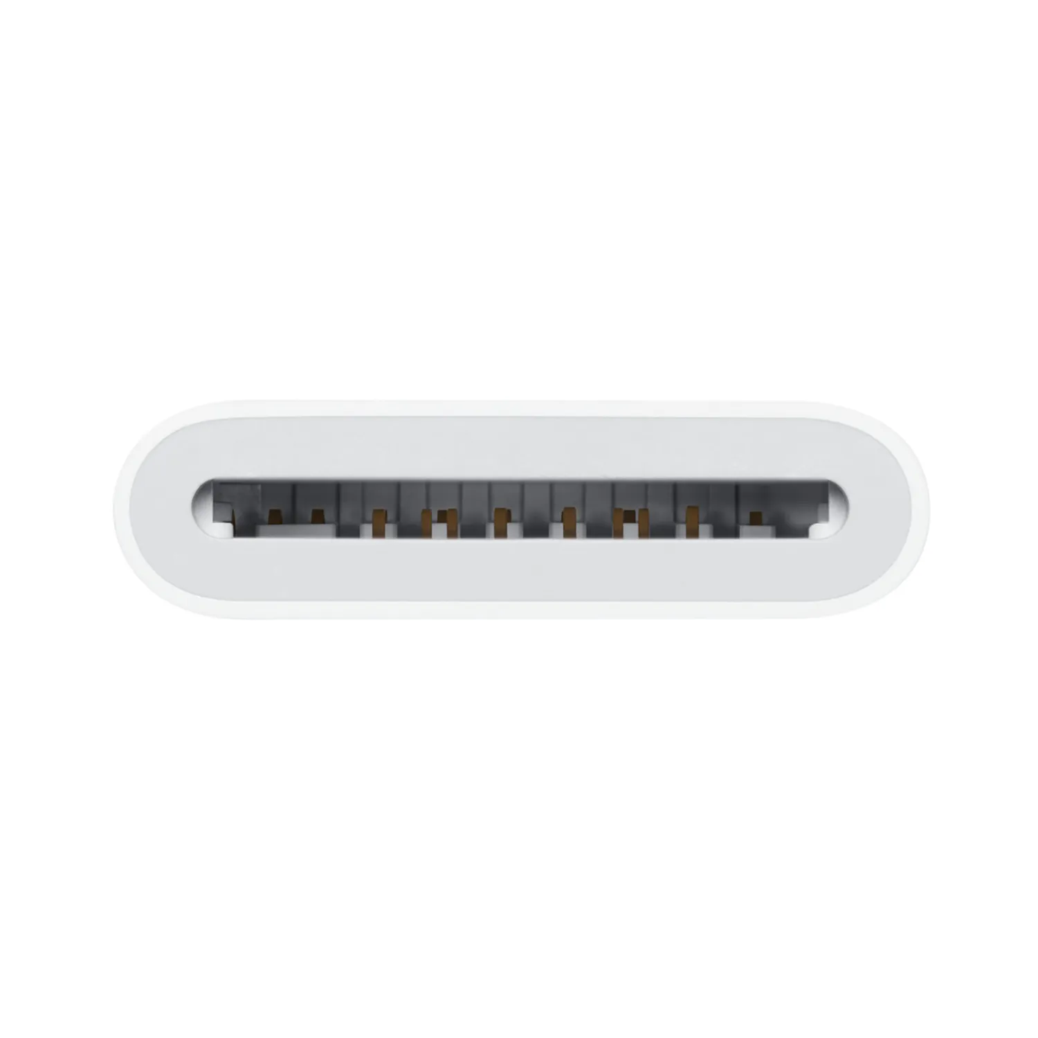 Apple USB-C auf SD Kartenlesegerät