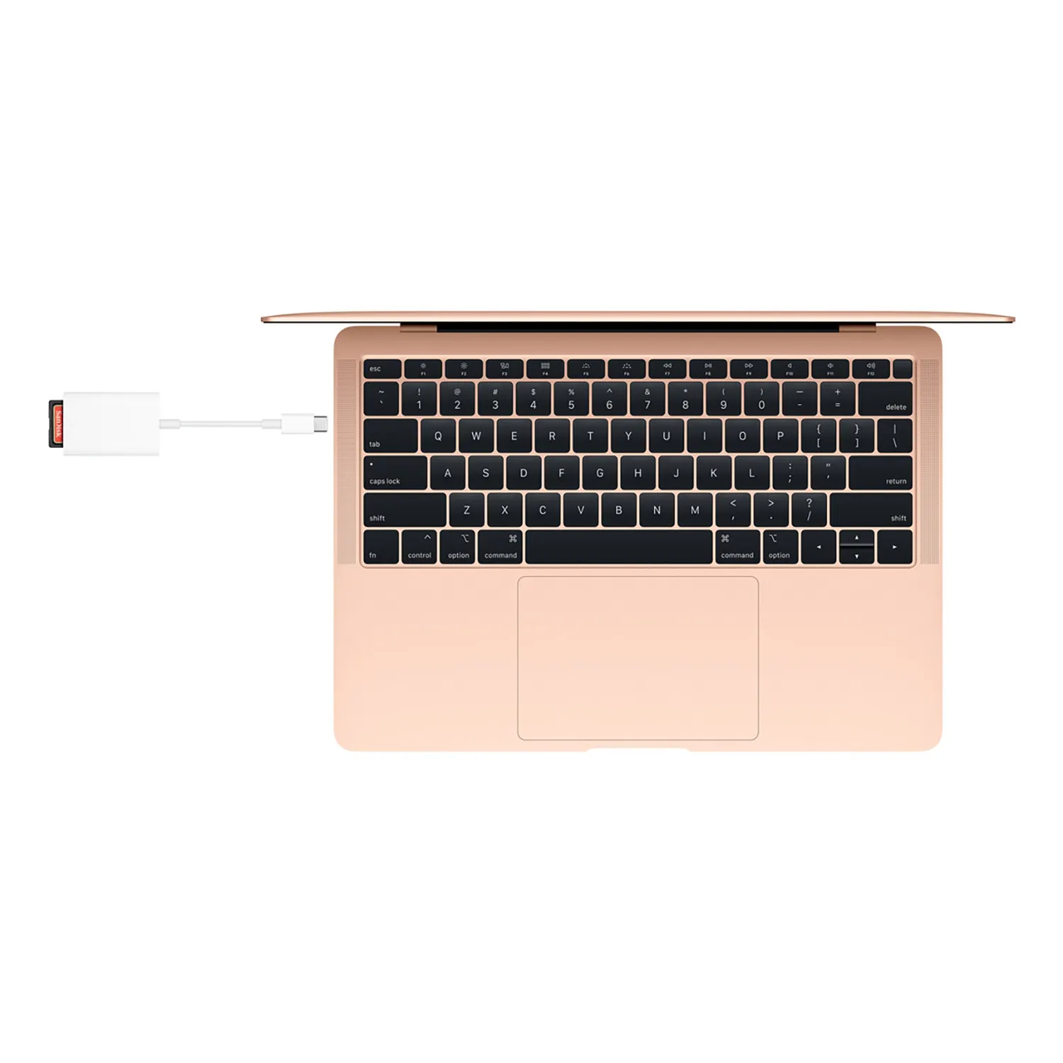 Apple USB-C auf SD Kartenlesegerät