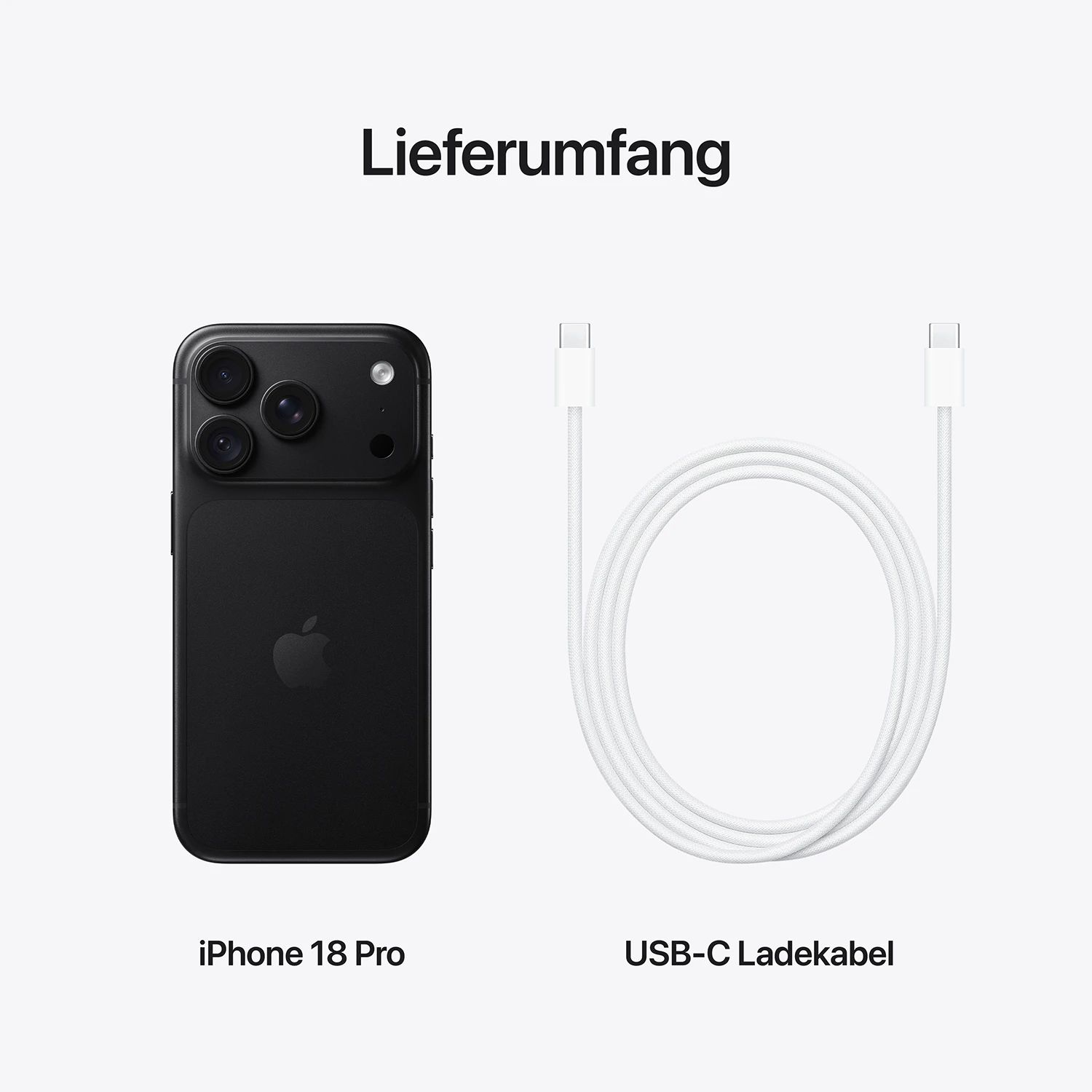 iPhone 18 Pro 256 GB Schwarz