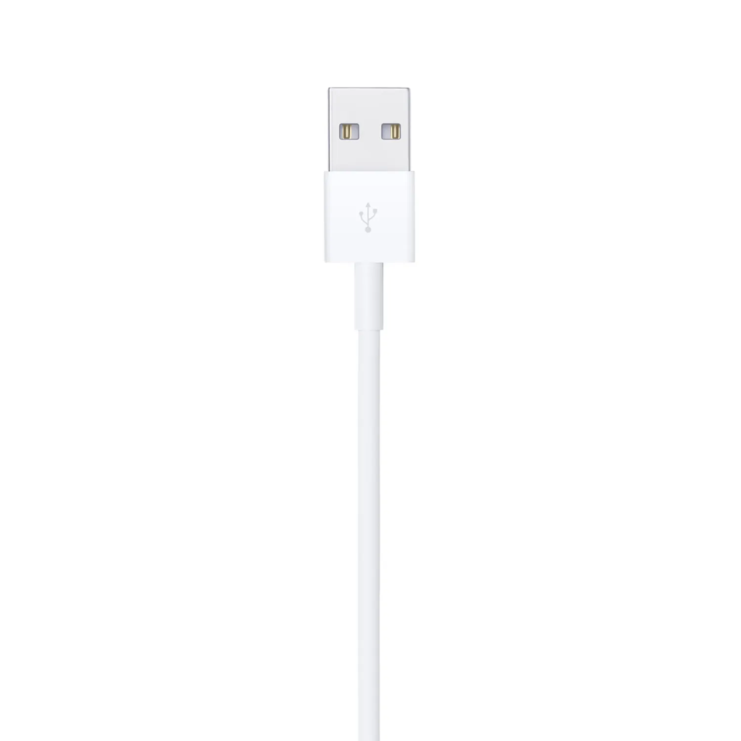 Apple Lightning auf USB Cable (1m)
