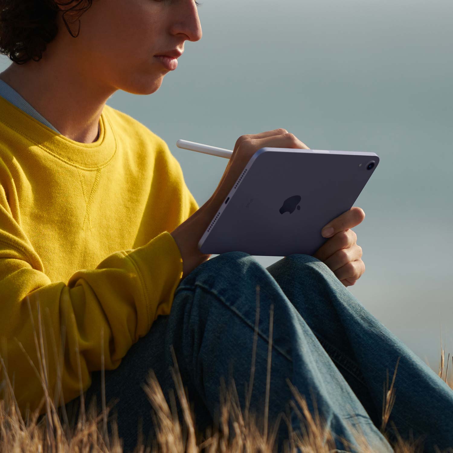 Apple iPad mini 8.3 Wi-Fi 64GB spacegrau