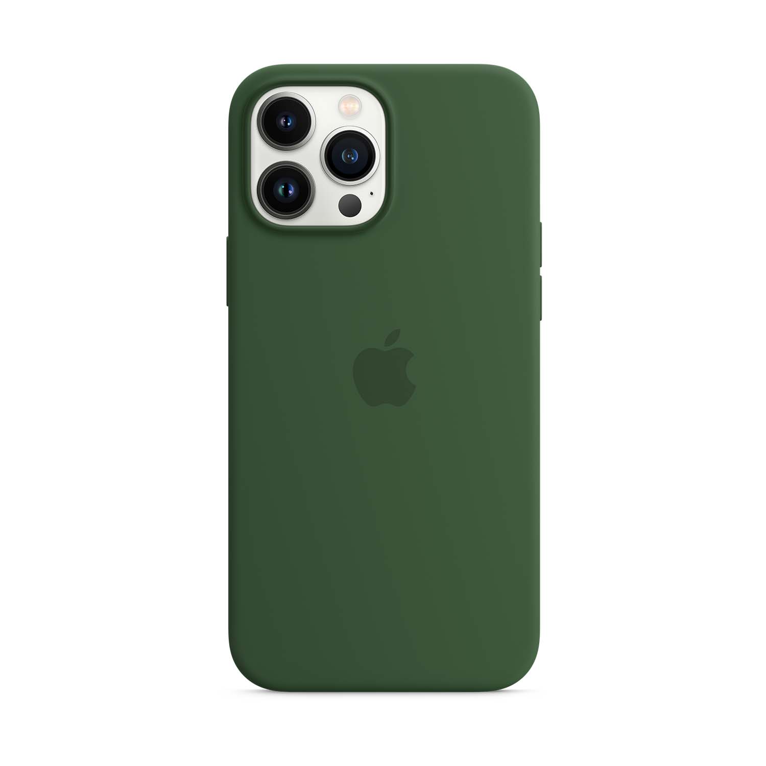 Apple Silikon Case iPhone 13 Pro Max mit MagSafe - Klee