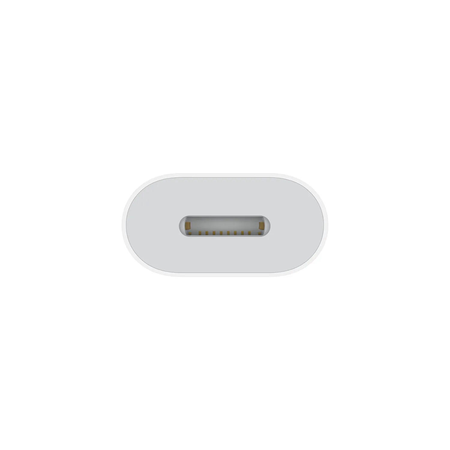Apple USB-C auf Lightning Adapter