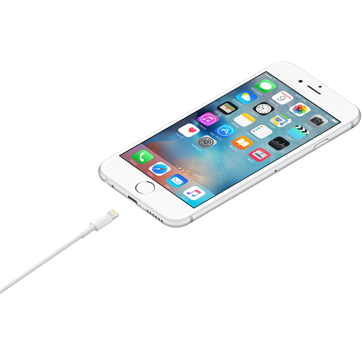 Apple Lightning auf USB Cable (1m)