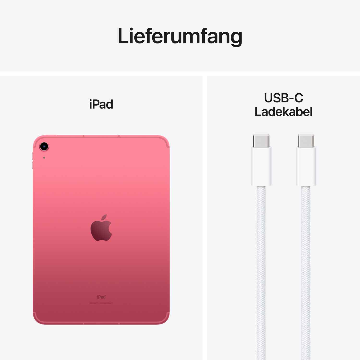 RP// Apple iPad 10.9 Wi-Fi 64GB (pink) 10.Gen - 2024 Produktbild: Ipad 10th generation cellular rosa bild position 9